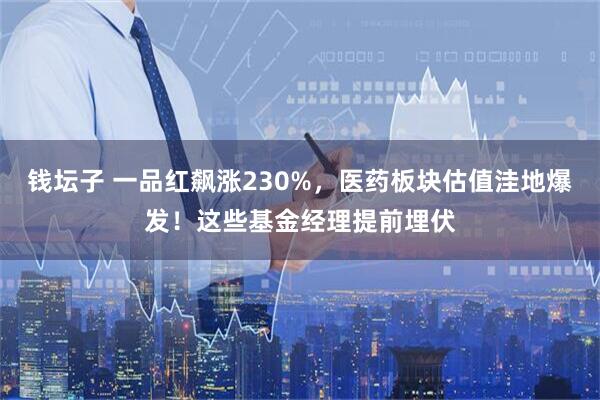 钱坛子 一品红飙涨230%，医药板块估值洼地爆发！这些基金经理提前埋伏