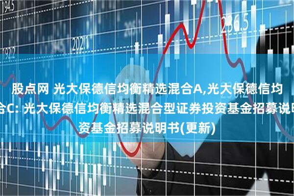 股点网 光大保德信均衡精选混合A,光大保德信均衡精选混合C: 光大保德信均衡精选混合型证券投资基金招募说明书(更新)