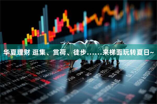 华夏理财 逛集、赏荷、徒步……来梯面玩转夏日~